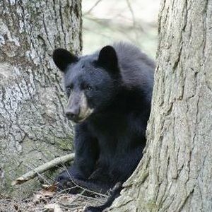 Meet your Posher, Katharine